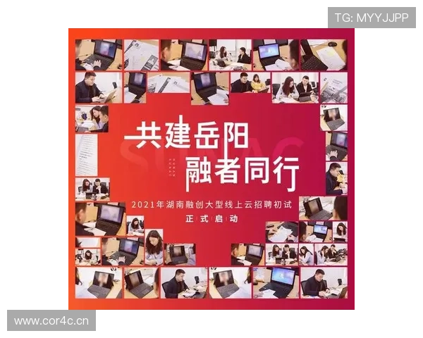 岳阳企业家创新发展模式助力地方经济腾飞的成功案例分析